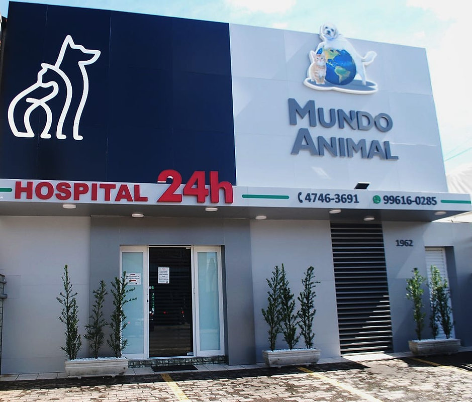 mundo animal espaço 001