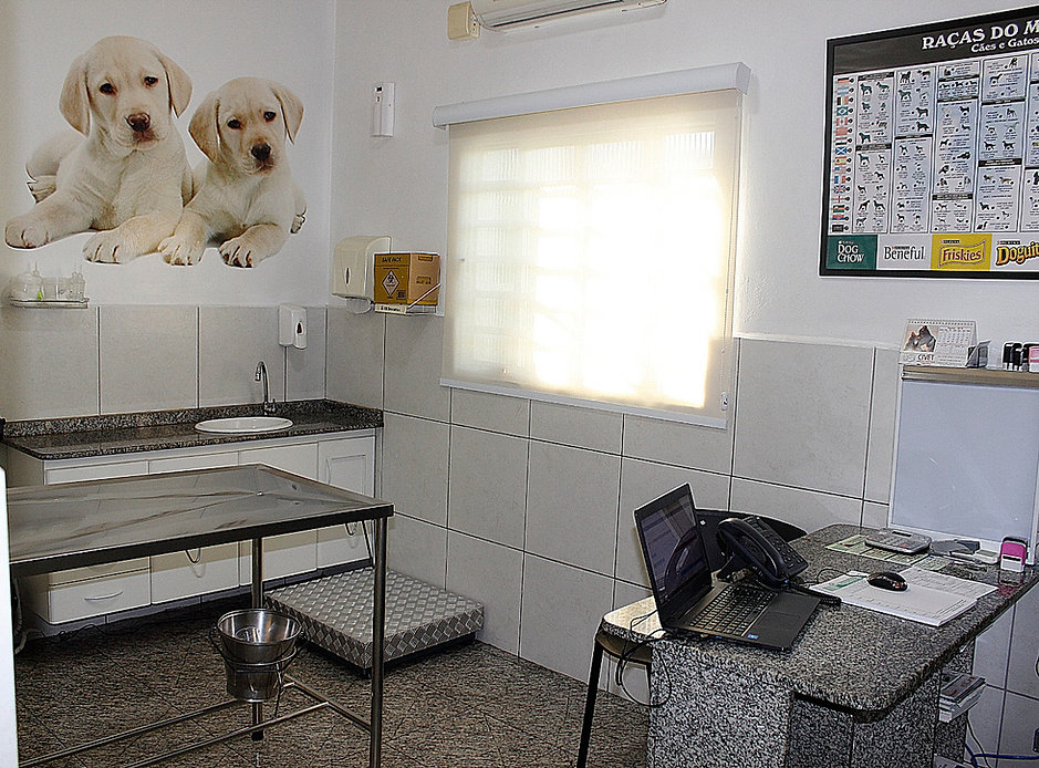 mundo animal espaço 004